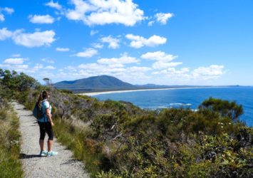 Hiking Hawks Nest: Trails with Views That Take Your Breath Away