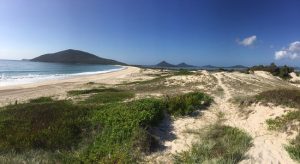 Planning the Perfect Weekend Getaway to Hawks Nest