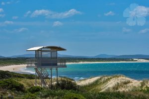 Surf’s Up at Bennetts Beach: A Local’s Guide
