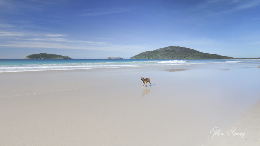 Surf’s Up at Bennetts Beach: A Local’s Guide